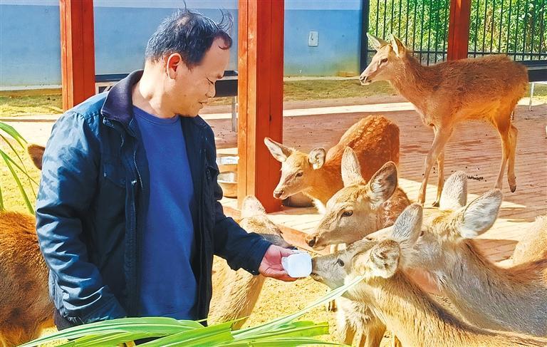 量发展产业调研】林下生金不朽情缘正规网站【高质